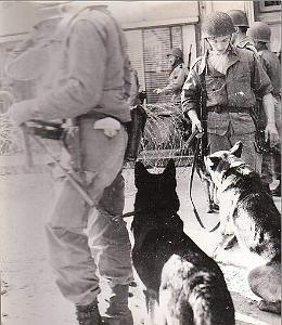 Oran- 6 jan 1960-  11